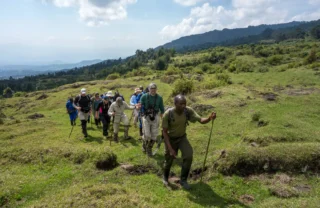 Trekking, Wilderness Bisate, Volcanoes NP, Rwanda