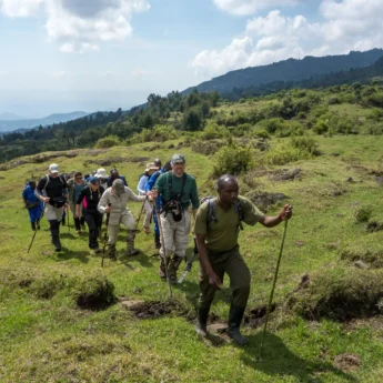 Trekking, Wilderness Bisate, Volcanoes NP, Rwanda