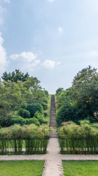 Lodge Gardens, Virunga Lodge, Volcanoes National Park, Rwanda