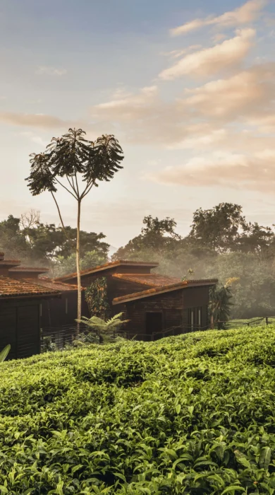 Exteriors House Sunrise