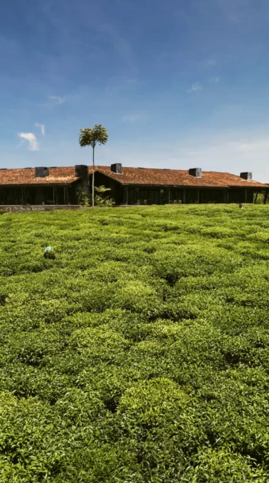 Drone resort