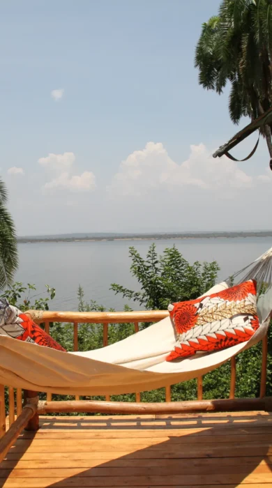 Tree Top Tent hammock
