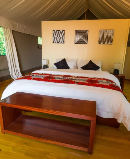 Luxury tree top tent