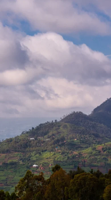 singita kataza house rwanda landscape yellow zebra safaris