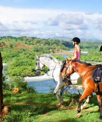 horse riding safais, wildwaters lodge, jinja, uganda
