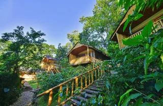 Guest rooms, Buhoma Lodge, Bwindi, Uganda