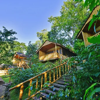 Guest rooms, Buhoma Lodge, Bwindi, Uganda