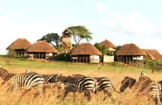 thatched huts, kidepo valley national park, uganda safaris