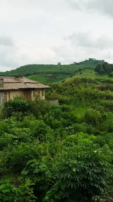 Exterior, Kibale Lodge, Kibale Forest, Uganda