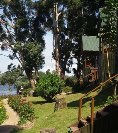 MLR garden