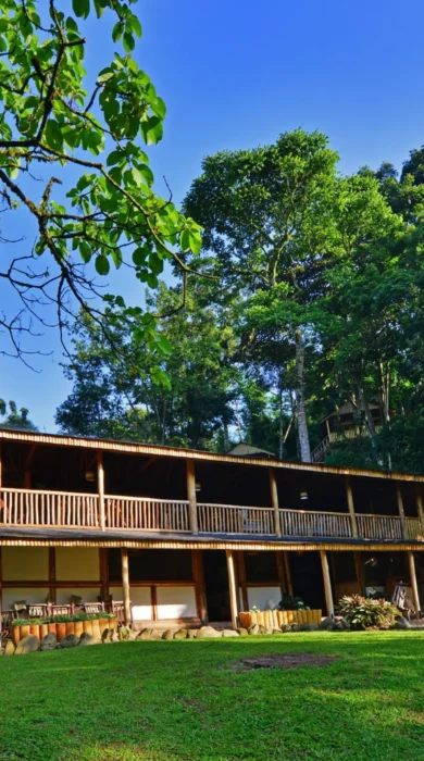 Buhoma Lodge, Bwindi, Uganda