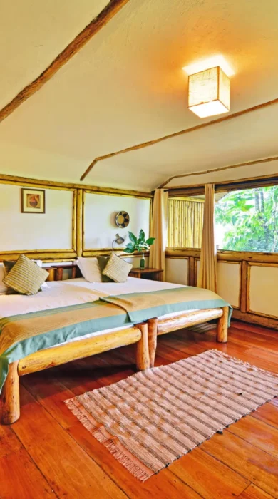 Twin room, Buhoma Lodge, Bwindi, Uganda