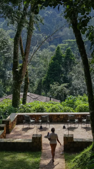 Garden, Bwindi Lodge, Queen Elizabeth Np, Uganda