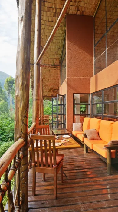 main terrace, mahogany springs, bwindi impenetrable forest, uganda