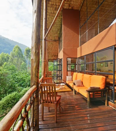 main terrace, mahogany springs, bwindi impenetrable forest, uganda