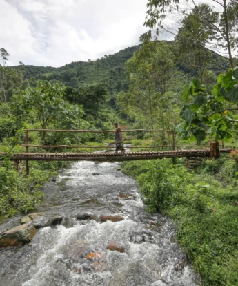 Mahogany Springs River bridge