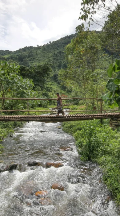 Mahogany Springs River bridge