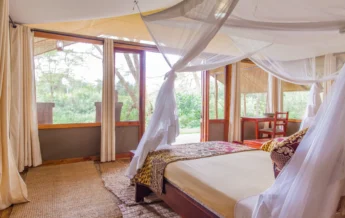 Ishasha Wilderness Camp (52)