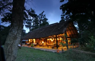 Ishasha Wilderness Camp (44)