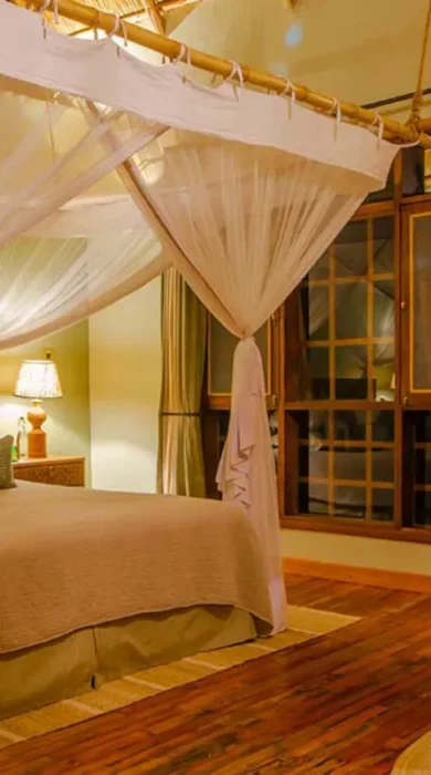 Room, Primate Lodge, Kibale National Park, Uganda