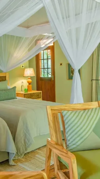 Twin Room, Primate Lodge, Kibale National Park, Uganda