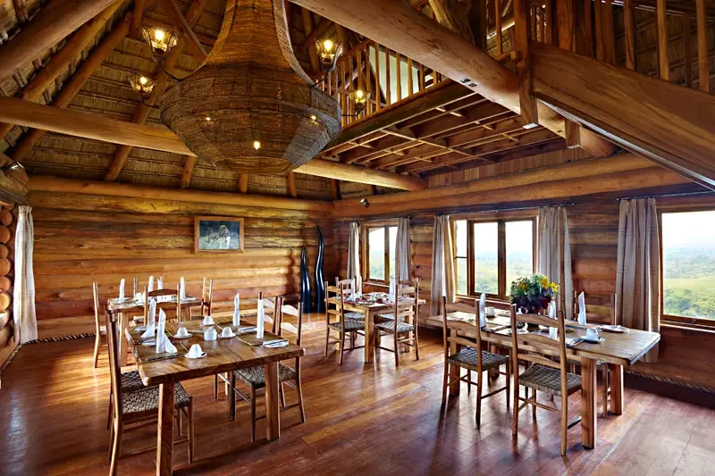 dining 2304