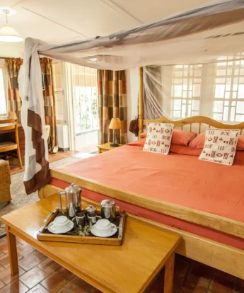 Boma Photos 36
