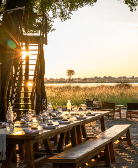 dining, maxa, okavango delta, botswana - yellow zebra safaris