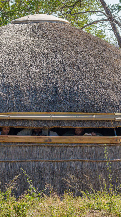 hide, dinaka, kalahari, botswana - Yellow Zebra Safari