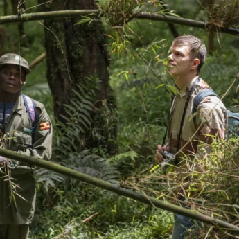 chimp trekking, mgahinga gorilla national park, uganda safaris