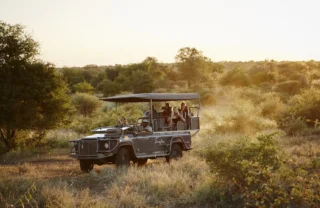 A safari truck drives through bushes, Singita Sweni Lodge, Kruger National Park, South Africa - Yellow Zebra Safaris