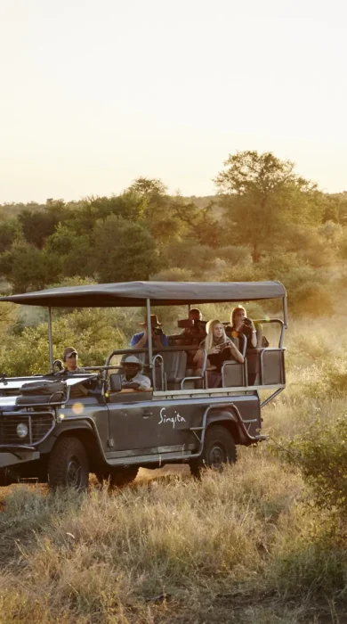 A safari truck drives through bushes, Singita Sweni Lodge, Kruger National Park, South Africa - Yellow Zebra Safaris
