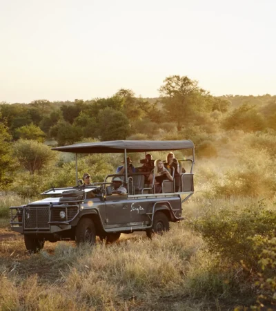A safari truck drives through bushes, Singita Sweni Lodge, Kruger National Park, South Africa - Yellow Zebra Safaris