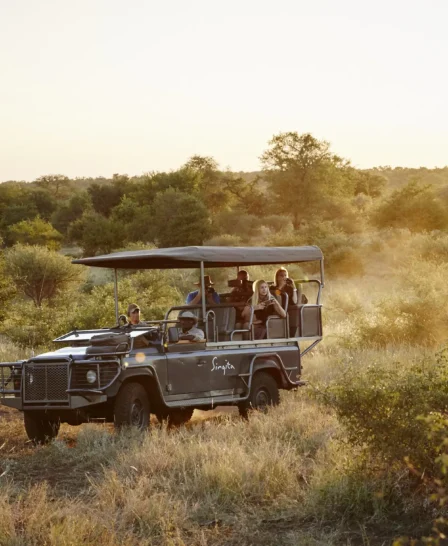 A safari truck drives through bushes, Singita Sweni Lodge, Kruger National Park, South Africa - Yellow Zebra Safaris