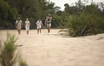 Walking andBeyond Ngala Tented Camp South African Safari1