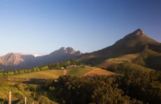 vineyard view, winelands, south africa safari holidays