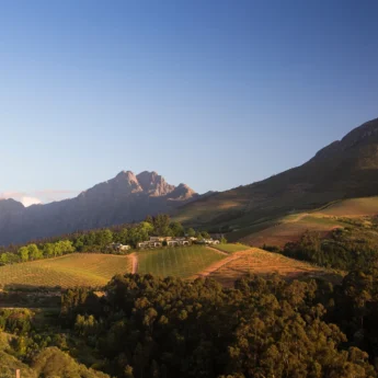 vineyard view, winelands, south africa safari holidays