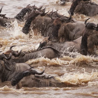 AWS July River crossing