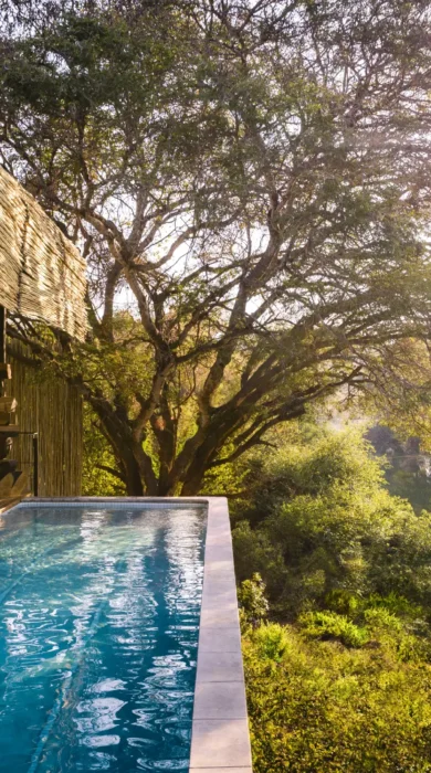 Pool, Singita Sweni Lodge, Kruger NP, South Africa