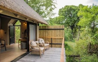 Patio, Thornybush Game Lodge, Thornybush, South Africa