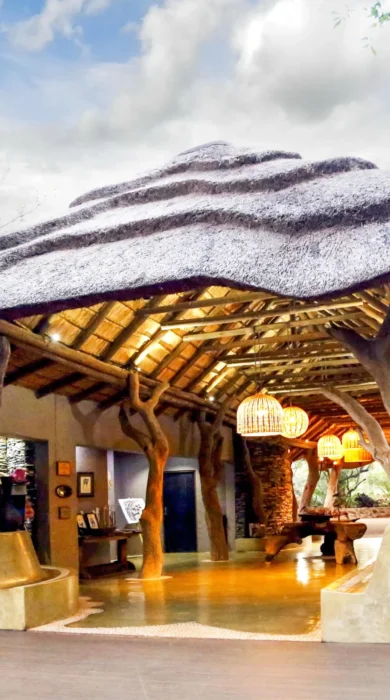 madikwe hills main reception south africa yellow zebra safaris
