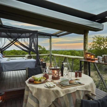 Motswari Private Game Reserve Giraffes Nest (2)