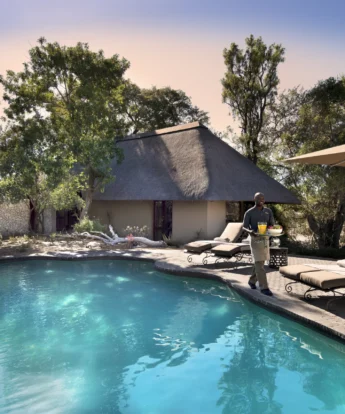 andBeyond Ngala Safari Lodge Family Suite pool