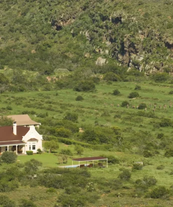 Kwandwe Uplands Homestead aerial