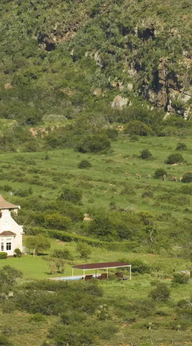 Kwandwe Uplands Homestead aerial