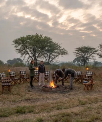 bush breakfast, sayari camp, the serengeti, tanzania