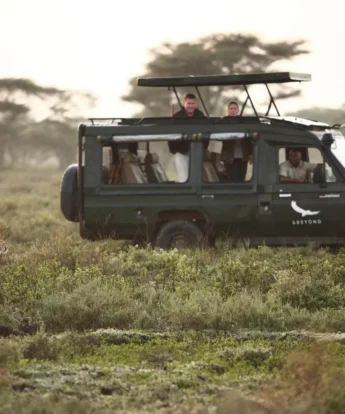 game drive, and beyond serengeti under canvas, tanzania