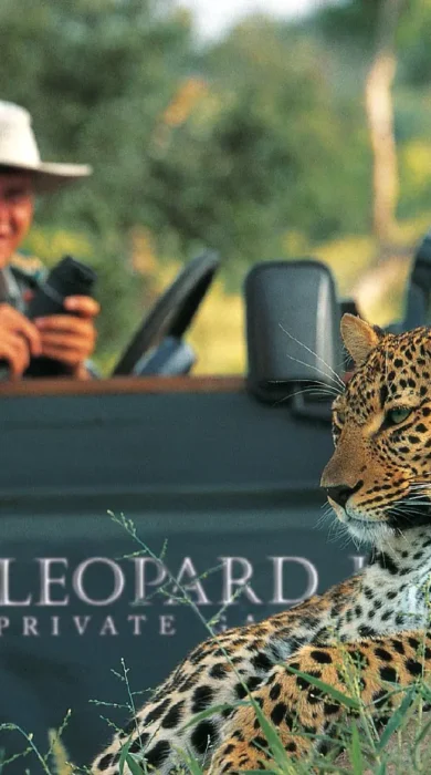lhills leopard 2