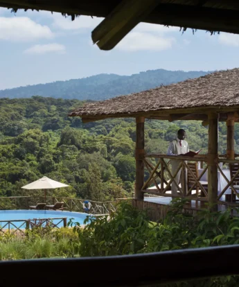 ngorongoro 553