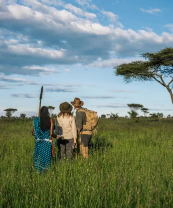 walking safari, lemala ngorongoro tented camp, ngorongoro crater, tanzania